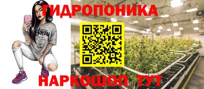 прущая мука Гай