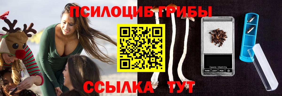 купить  цена  Вход с VPN  Новошахтинск  Псилоцибиновые грибы Cubensis 